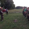 Polowanie na kaczki 2015
